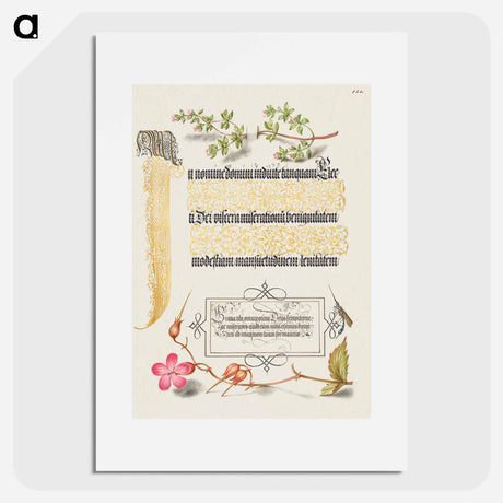 アートポスター-Basil Thyme, Insect, and Herb Robert from Mira Calligraphiae Monumenta
 - 書道のお手本 Poster.