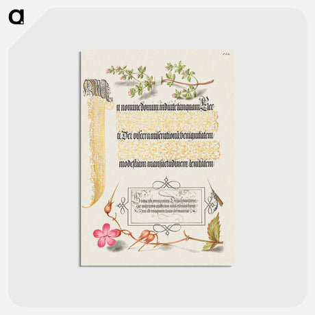 アートポストカード-Basil Thyme, Insect, and Herb Robert from Mira Calligraphiae Monumenta
 - 書道のお手本 Postcard.