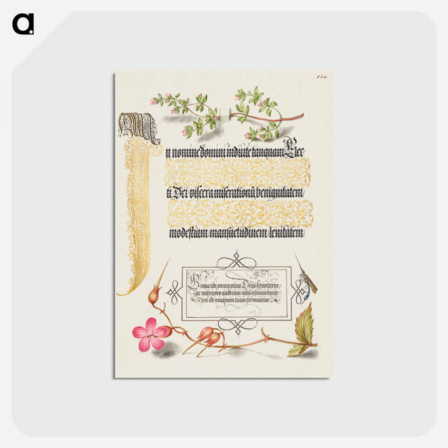 アートポストカード-Basil Thyme, Insect, and Herb Robert from Mira Calligraphiae Monumenta
 - 書道のお手本 Postcard.