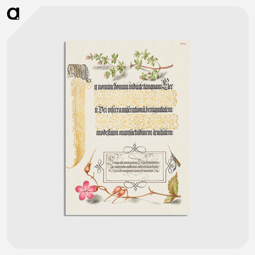 Basil Thyme, Insect, and Herb Robert from Mira Calligraphiae Monumenta
 - 書道のお手本 Postcard.
