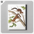 2-30_The-Viviparous-Quadrupeds_canvas