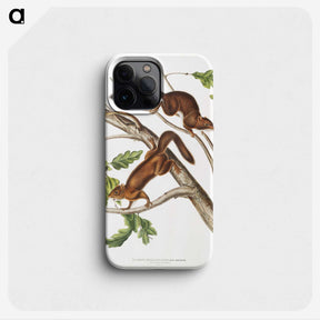 2-30_The-Viviparous-Quadrupeds_phone