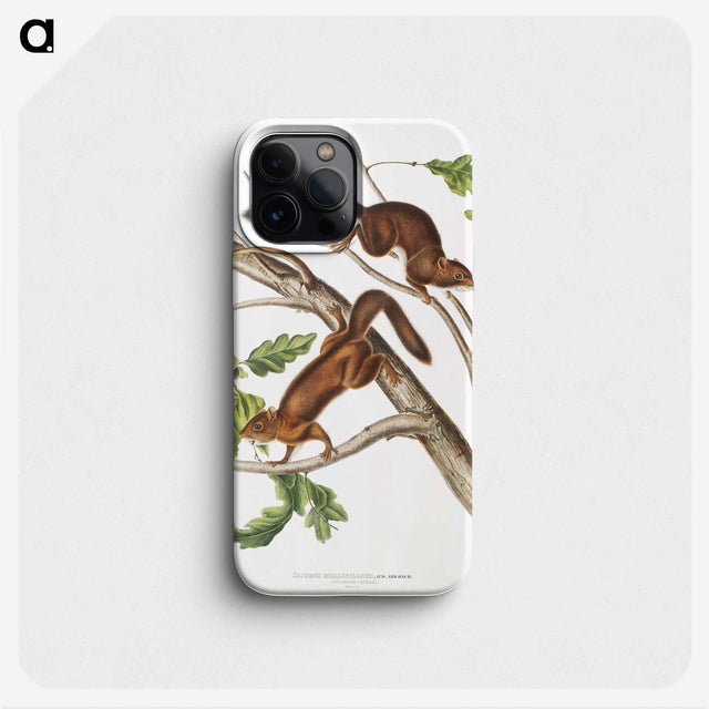 2-30_The-Viviparous-Quadrupeds_phone