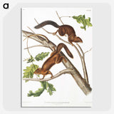 2-30_The-Viviparous-Quadrupeds_picture-crop