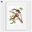 2-30_The-Viviparous-Quadrupeds_picture