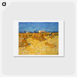 アートポストカード-Corn Harvest in Provence - フィンセント ファン ゴッホ Postcard.