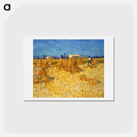 アートポストカード-Corn Harvest in Provence - フィンセント ファン ゴッホ Postcard.