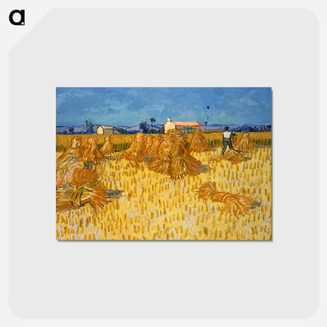 アートポストカード-Corn Harvest in Provence - フィンセント ファン ゴッホ Postcard.