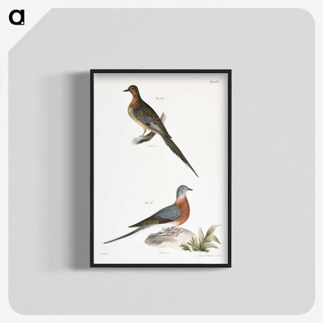 2-30_Zoology-of-New-York_blk-crop