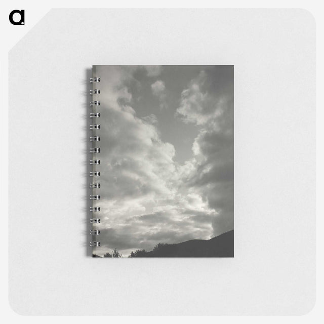 2-31_Alfred-Stieglitz_memo