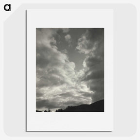 2-31_Alfred-Stieglitz_picture