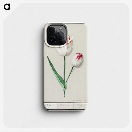 2-31_Anselmus-Boetius-de-Boodt_phone