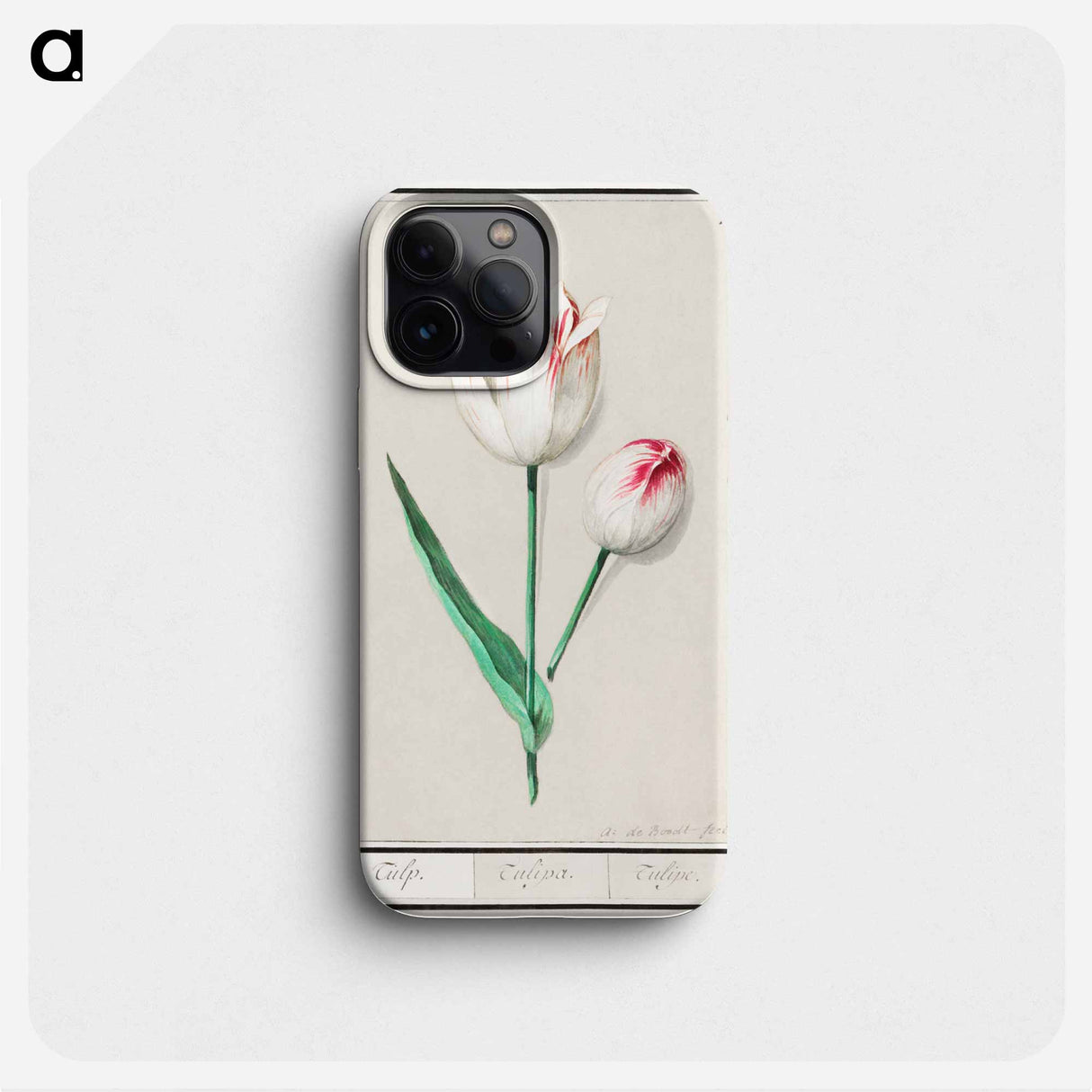 Tulip - アンセルムス ボエティウス デ ブート Phone Case.