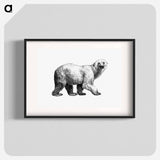 アートポスター-White Bear from Amerika
 - 大英図書館 Poster.