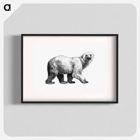 アートポスター-White Bear from Amerika
 - 大英図書館 Poster.