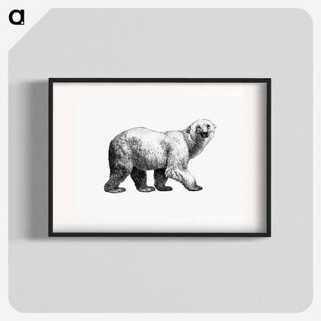 アートポスター-White Bear from Amerika
 - 大英図書館 Poster.