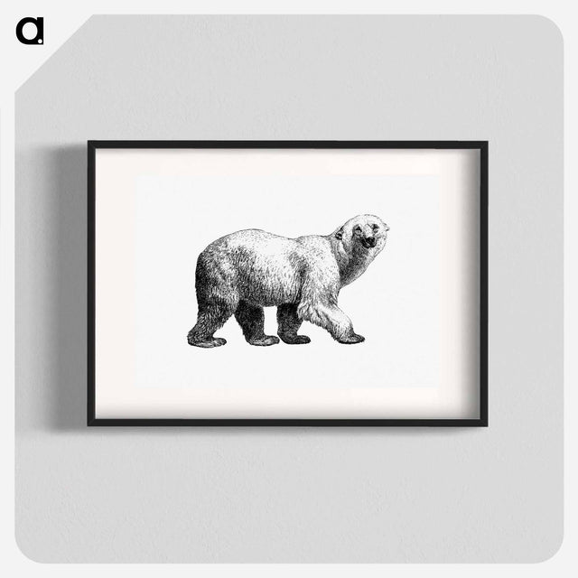 アートポスター-White Bear from Amerika
 - 大英図書館 Poster.