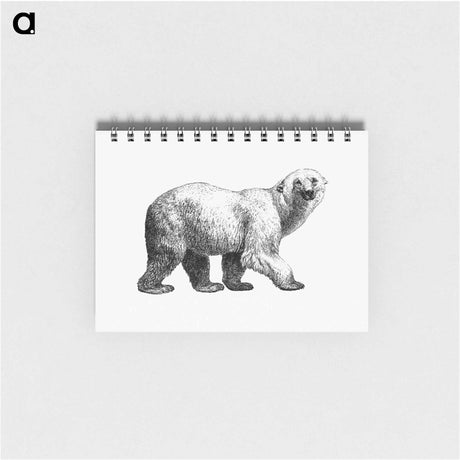 アートメモ帳-White Bear from Amerika
 - 大英図書館 Memo.