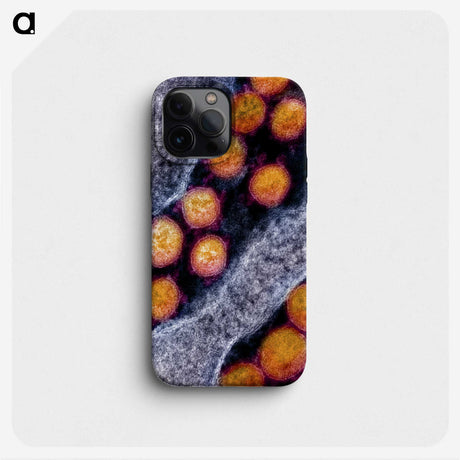 2-31_COVID-19_phone