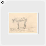 アートポストカード-Emaciated Horse
 - シプリアン マジェルニク Postcard.