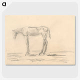 2-31_Cyprian-Majernik_picture-crop