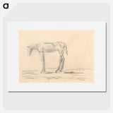 2-31_Cyprian-Majernik_picture