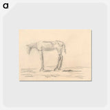 アートポストカード-Emaciated Horse
 - シプリアン マジェルニク Postcard.