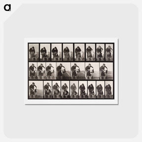 アートポストカード-Emptying Bucket of Water
 - エドワード マイブリッジ Postcard.