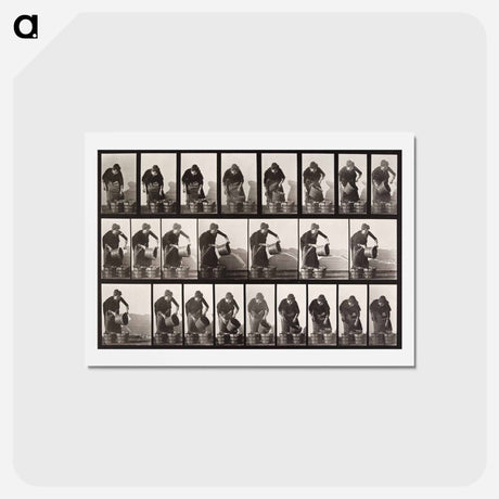 アートポストカード-Emptying Bucket of Water
 - エドワード マイブリッジ Postcard.