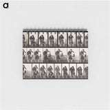 2-31_Eadweard-Muybridge_memo