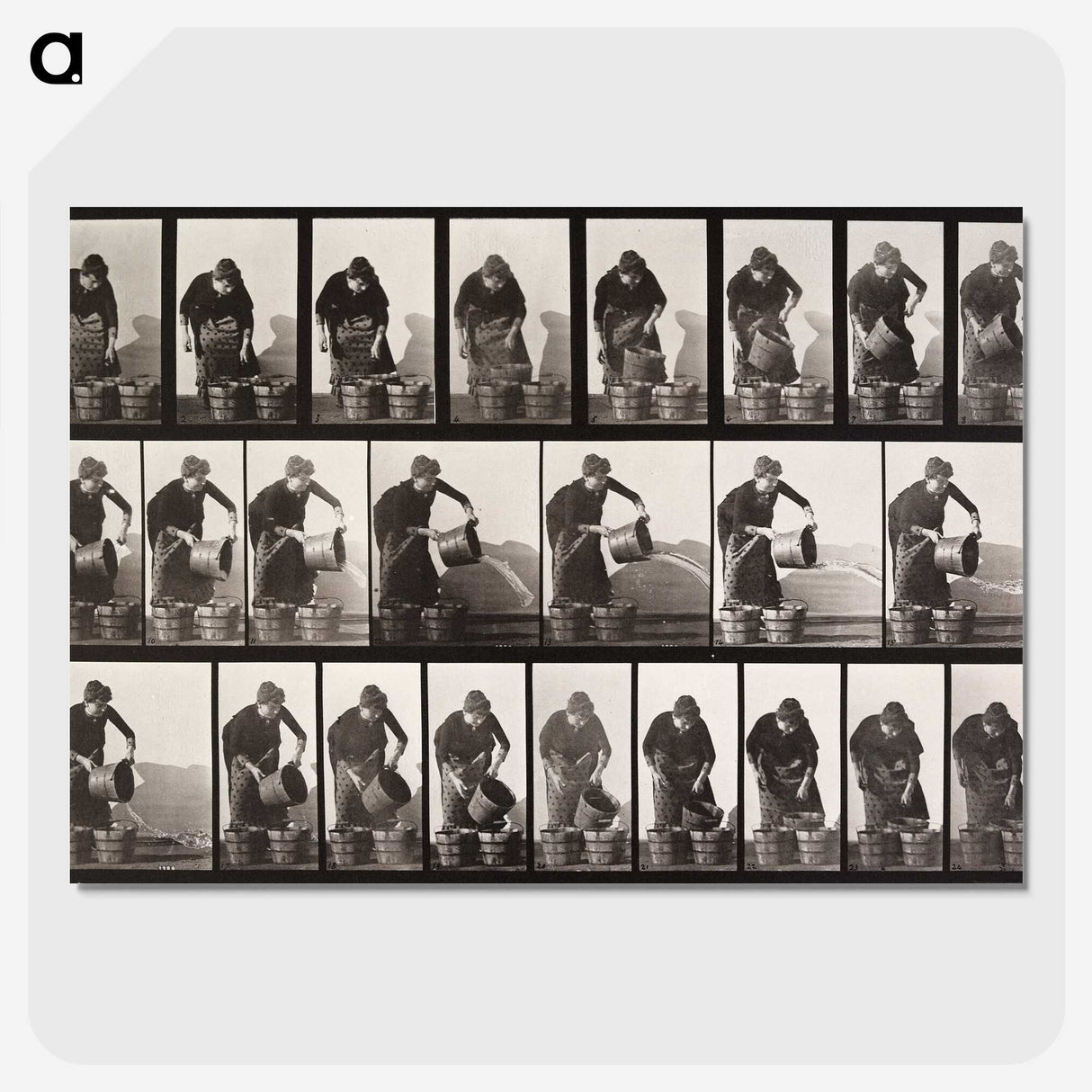 2-31_Eadweard-Muybridge_picture-crop