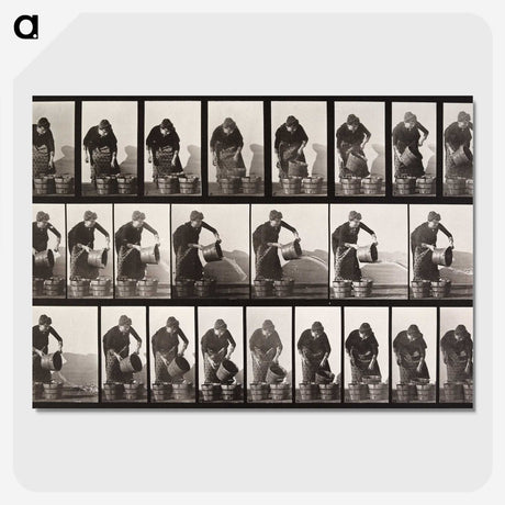 2-31_Eadweard-Muybridge_picture-crop