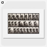 2-31_Eadweard-Muybridge_picture