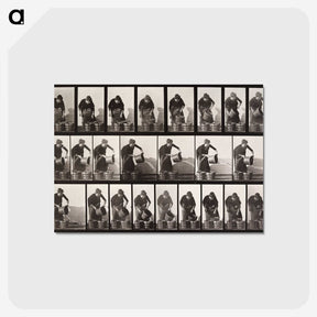 2-31_Eadweard-Muybridge_postcard