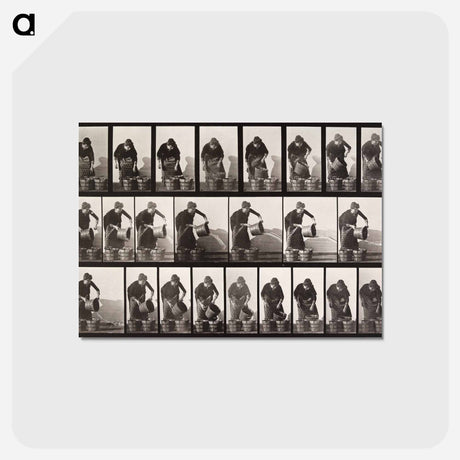 アートポストカード-Emptying Bucket of Water
 - エドワード マイブリッジ Postcard.