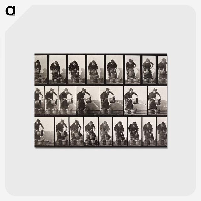 2-31_Eadweard-Muybridge_postcard