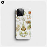 Bryozoa–Moostiere - エルンスト ヘッケル Phone Case.