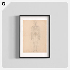 アートポスター-Human Skeleton, Anterior View
 - ジョージ スタッブス Poster.