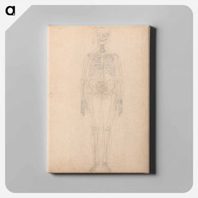 アートパネル-Human Skeleton, Anterior View
 - ジョージ スタッブス Canvas.