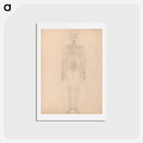 アートポストカード-Human Skeleton, Anterior View
 - ジョージ スタッブス Postcard.