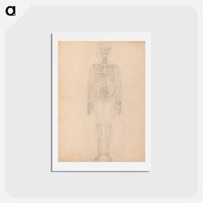 アートポストカード-Human Skeleton, Anterior View
 - ジョージ スタッブス Postcard.