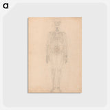 アートポストカード-Human Skeleton, Anterior View
 - ジョージ スタッブス Postcard.