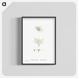 2-31_Histoire-des-Plantes-Grasses_blk-crop