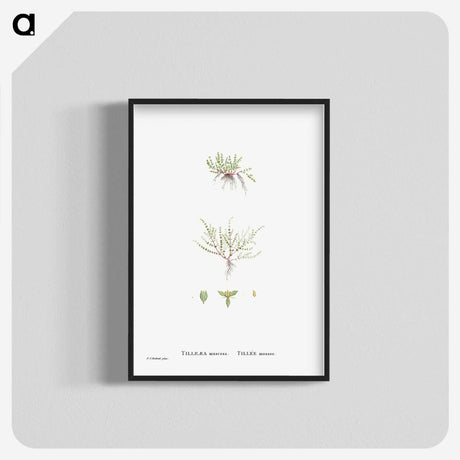 2-31_Histoire-des-Plantes-Grasses_blk-crop