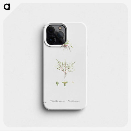 2-31_Histoire-des-Plantes-Grasses_phone