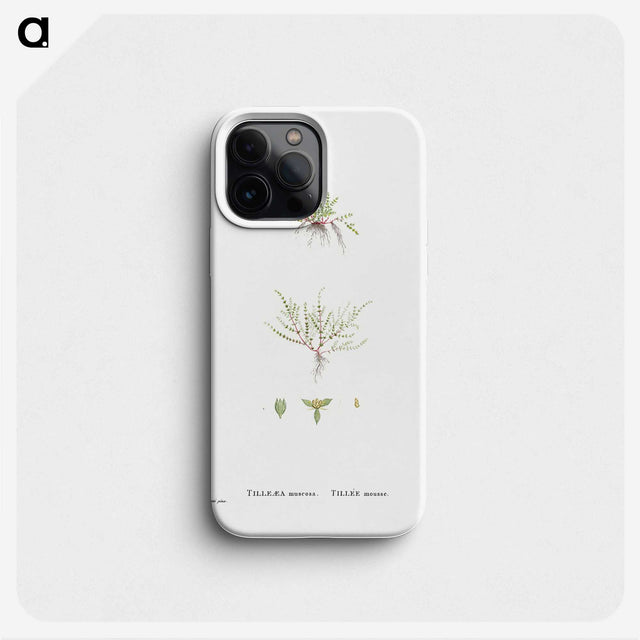 2-31_Histoire-des-Plantes-Grasses_phone