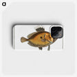2-31_Ichtyologie-ou-Histoire-naturelle_phone