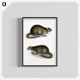 2-31_Indian-Zoology_blk-crop