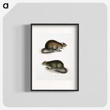 2-31_Indian-Zoology_blk