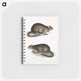 2-31_Indian-Zoology_memo